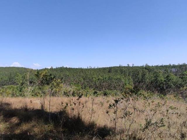 Terreno venda em Piumhi, Região Geográfica Intermediária de Varginha