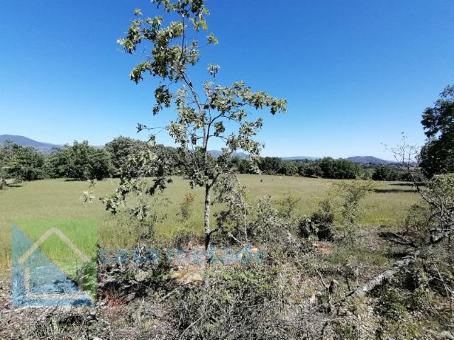 Terreno venda em Castelo Branco, Peraboa