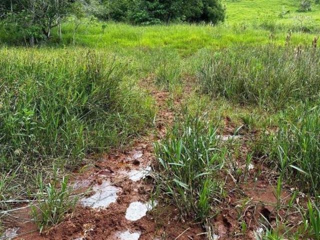 Terreno venda em São Sebastião do Baixio, Periquito