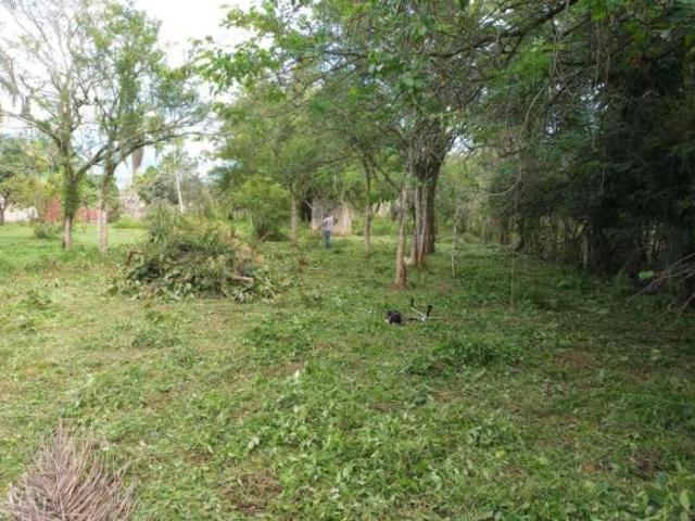 Terreno venda em Peruíbe, Região Geográfica Intermediária de São Paulo