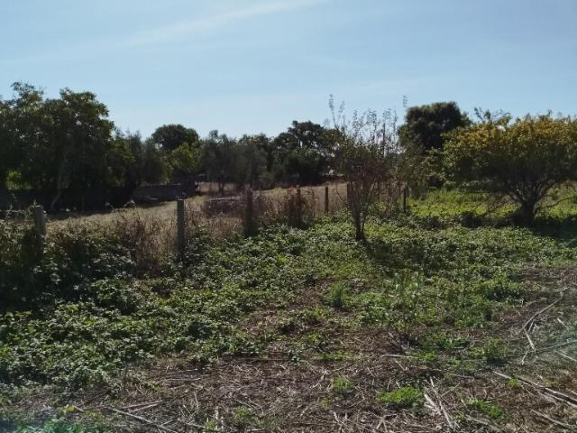 Terreno venda em Mem Martins, Sintra