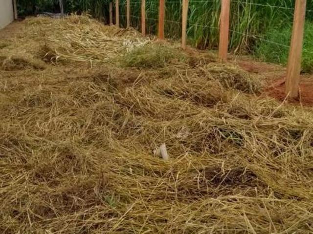 Terreno venda em Região Imediata de Bragança Paulista, Pinhalzinho