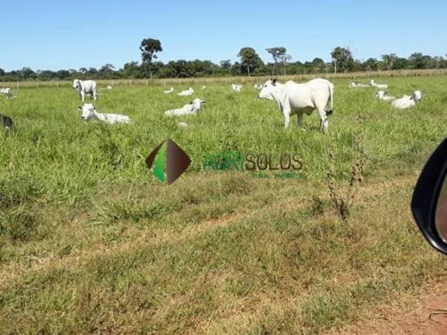 Terreno venda em Região Geográfica Imediata de Pontes e Lacerda - Comodoro, Pontes e Lacerda