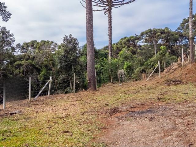 Terreno venda em Região Geográfica Imediata de Curitiba, Região Metropolitana de Curitiba