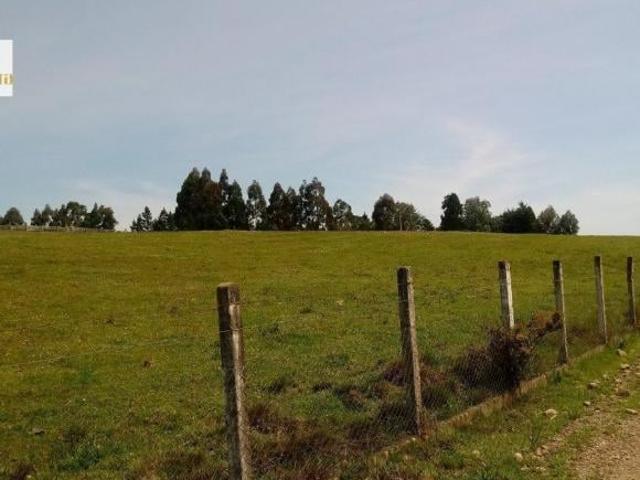 Terreno venda em Região Geográfica Imediata de Caxias do Sul, Canela