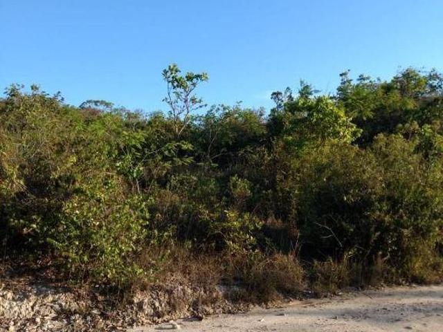 Terreno venda em Ravena, Sabará