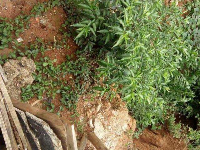 Terreno venda em Região Imediata de São Paulo, Região Metropolitana de São Paulo