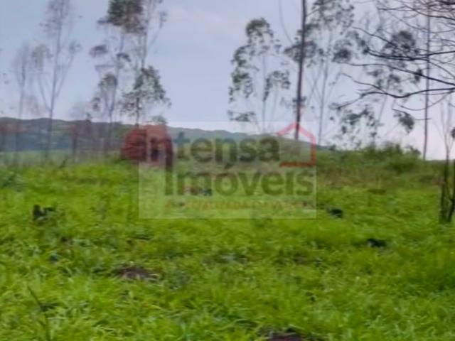 Terreno venda em Região Imediata de Taubaté-Pindamonhangaba, Região Metropolitana do Vale do Paraíba e Litoral Norte