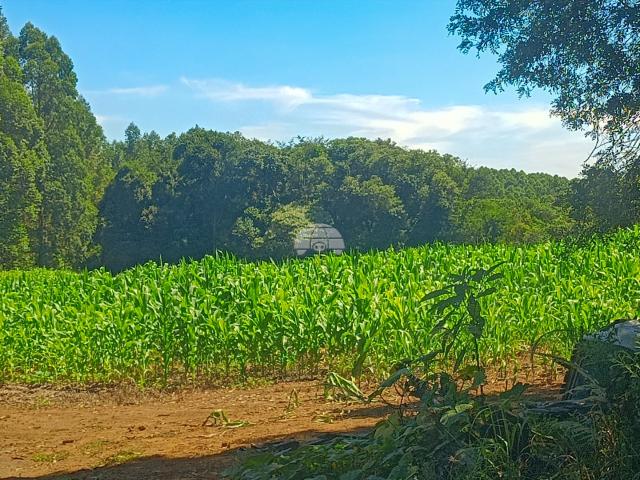 Terreno venda em Região Geográfica Imediata de Telêmaco Borba, Reserva