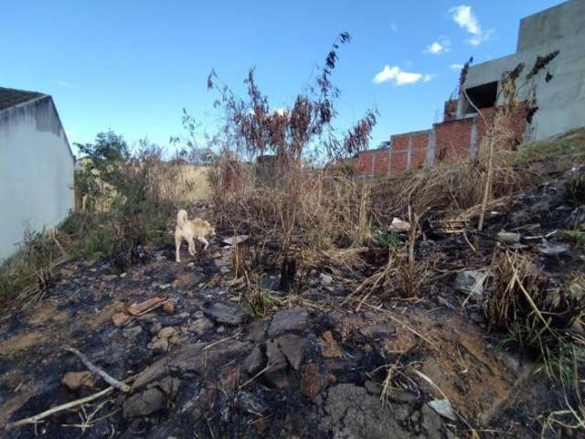 Terreno venda em Região Geográfica Imediata de Anápolis, Anápolis