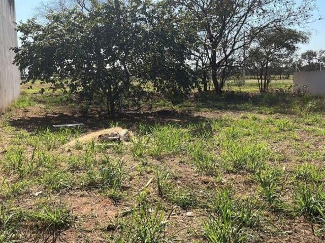 Terreno venda em Região Imediata de Birigui-Penápolis, Birigui
