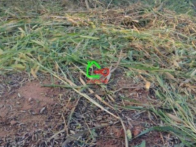 Terreno venda em Região Imediata de Jundiaí, Louveira
