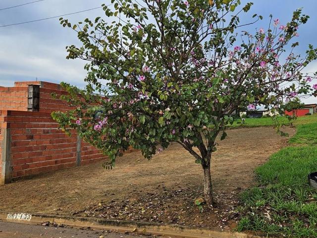 Terreno venda em Região Imediata de Sorocaba, Região Metropolitana de Sorocaba