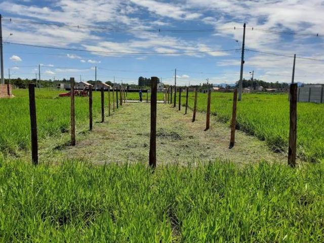 Terreno venda em Região Imediata de Taubaté-Pindamonhangaba, Região Metropolitana do Vale do Paraíba e Litoral Norte