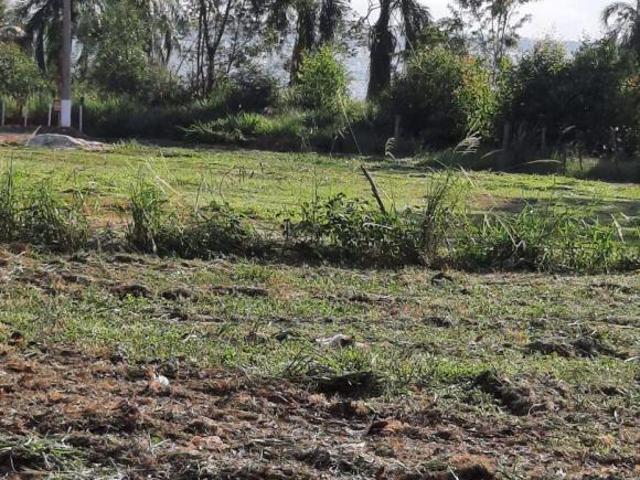 Terreno venda em Região Imediata de Birigui-Penápolis, Buritama