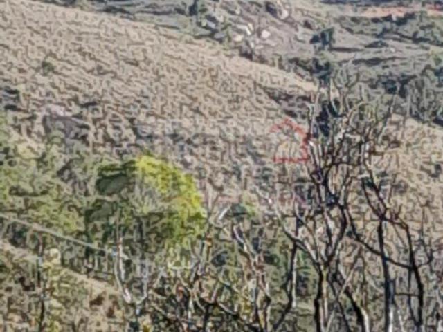Terreno venda em Região Imediata de Guaratinguetá, Região Metropolitana do Vale do Paraíba e Litoral Norte