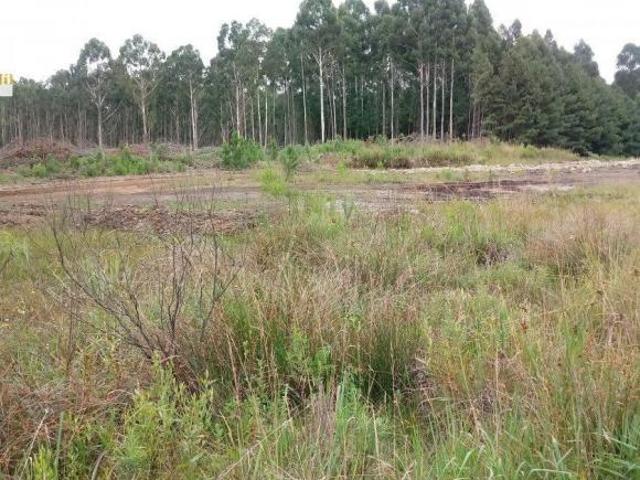 Terreno venda em Região Geográfica Imediata de Caxias do Sul, São Francisco de Paula