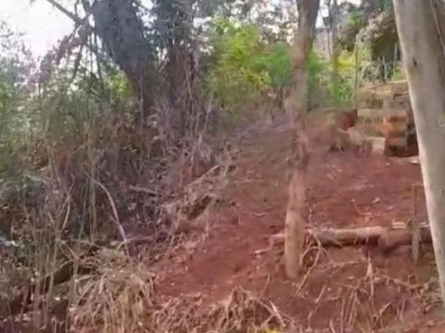 Terreno venda em Região Geográfica Imediata de Belo Horizonte, Região Metropolitana de Belo Horizonte