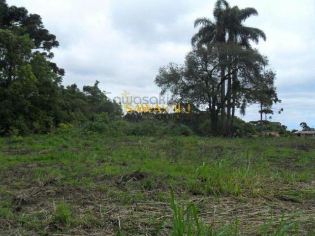 Terreno venda em Roseira de São Sebastião, São José dos Pinhais