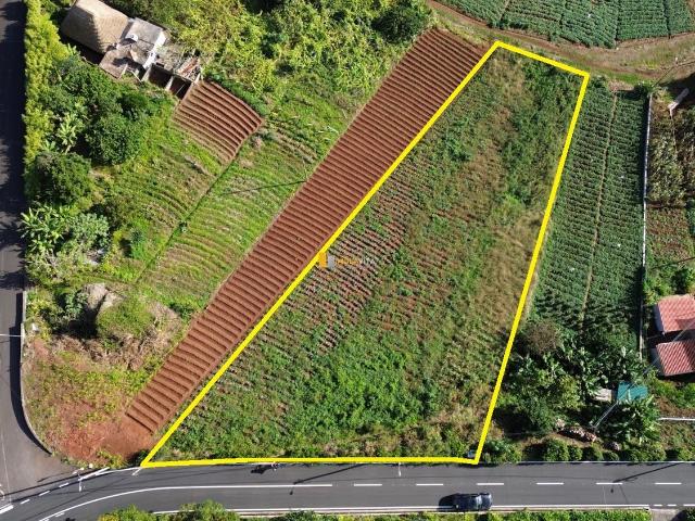 Terreno venda em Achada de Simão Alves, Santana