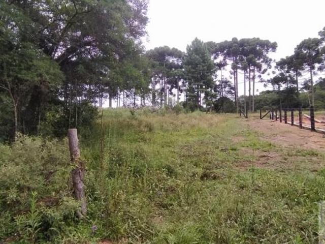 Terreno venda em Região Geográfica Imediata de Curitiba, Região Metropolitana de Curitiba