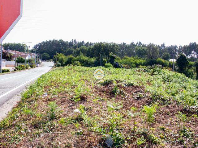 Terreno venda em Santa Maria Da Feira, Aveiro
