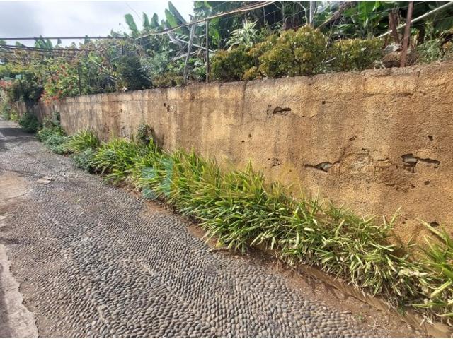 Terreno venda em São Roque, Funchal
