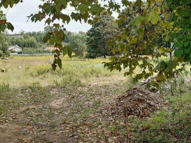 Terreno venda em Oliveira De Azeméis, Aveiro