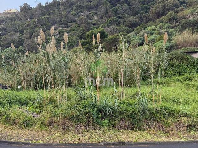 Terreno venda em Santa Cruz
