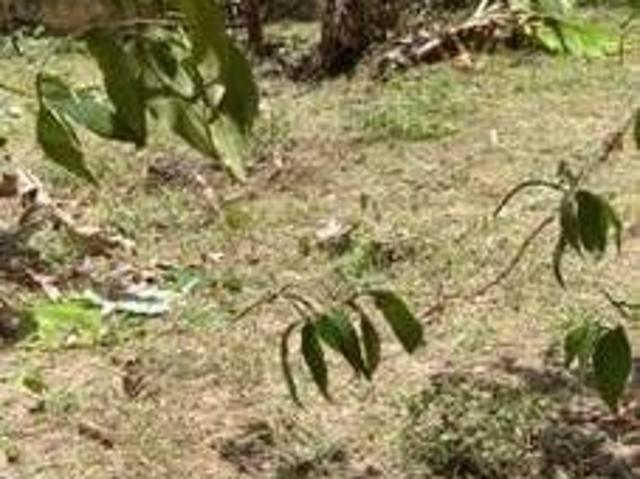 Terreno venda em Região Geográfica Imediata de Belo Horizonte, Região Metropolitana de Belo Horizonte