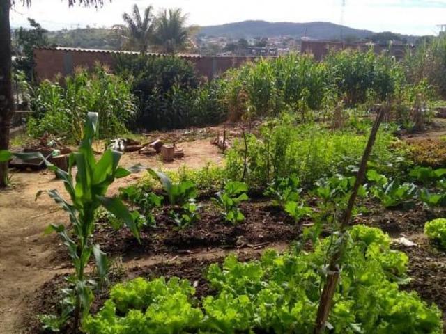 Terreno venda em Chuvinha, Santana de Pirapama