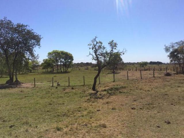 Terreno venda em Região Geográfica Imediata de Cuiabá, Região Metropolitana do Vale do Rio Cuiabá