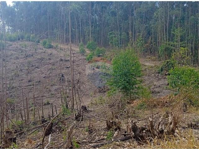 Terreno venda em Região Imediata de Bragança Paulista, Região Sudeste