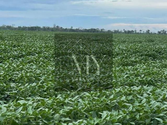 Terreno venda em Região Geográfica Imediata de Cuiabá, Região Metropolitana do Vale do Rio Cuiabá