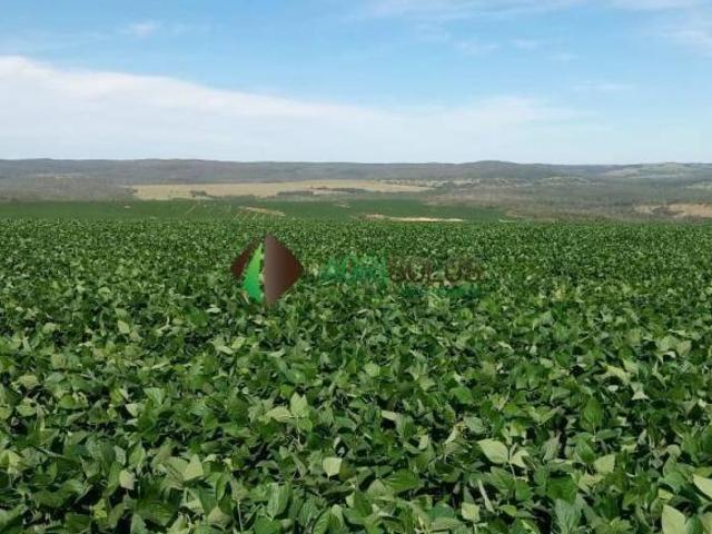 Terreno venda em Região Geográfica Imediata de Sorriso, Sorriso