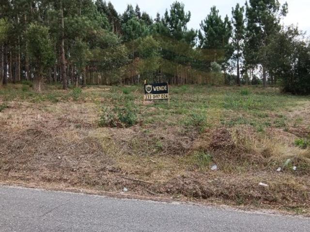 Terreno venda em Soure, Coimbra