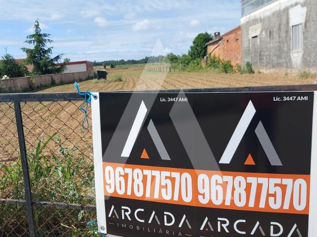 Terreno venda em Albergaria-a-velha, Aveiro