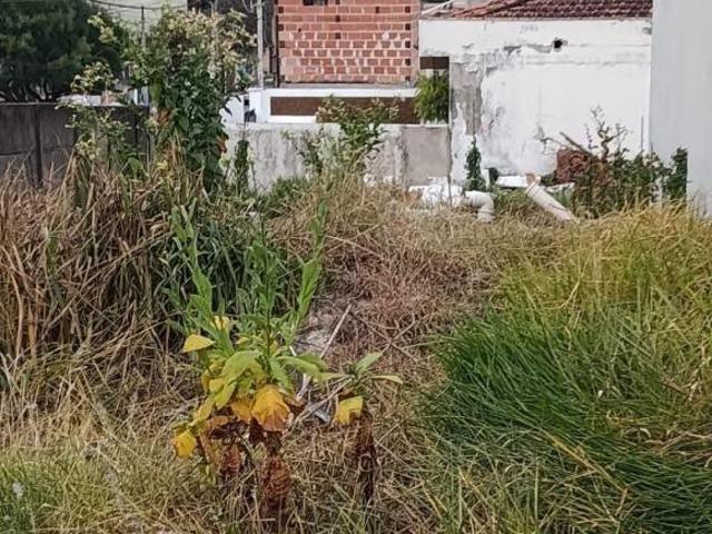 Terreno venda em Região Imediata de Taubaté-Pindamonhangaba, Região Metropolitana do Vale do Paraíba e Litoral Norte