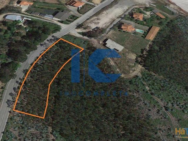 Terreno venda em Sever Do Vouga, Aveiro