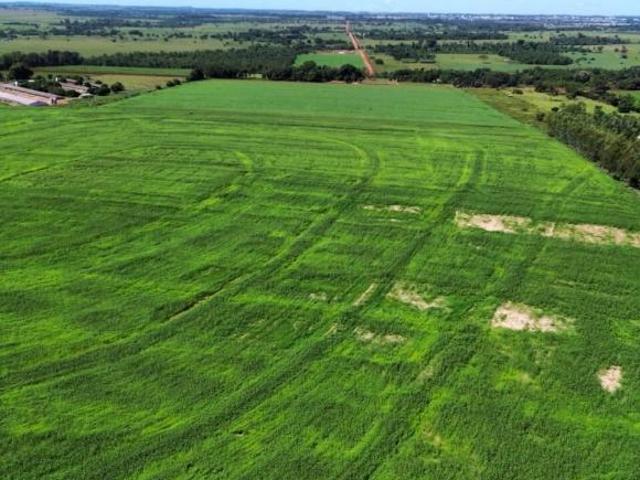 Terreno venda em Região Geográfica Imediata de Tangará da Serra, Tangará da Serra