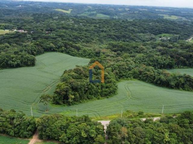 Terreno venda em Região Geográfica Imediata de Londrina, Londrina