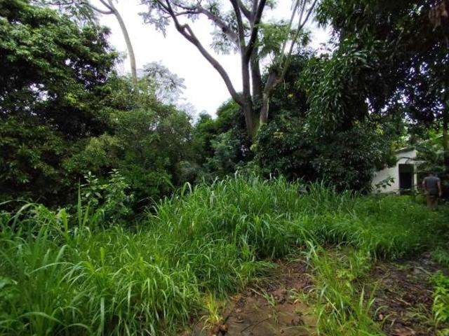 Terreno venda em Braúnas, Belo Horizonte