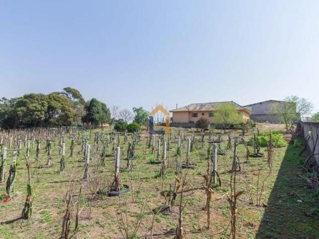Terreno venda em Região Geográfica Imediata de Curitiba, Região Metropolitana de Curitiba
