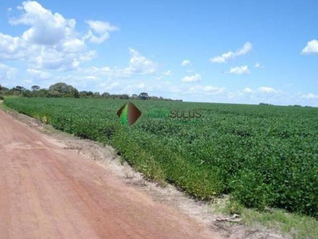 Terreno venda em Unaí
