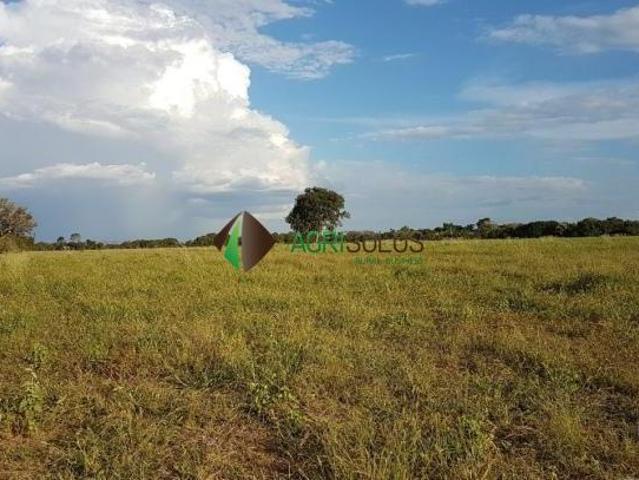 Terreno venda em Centro, Uruaçu