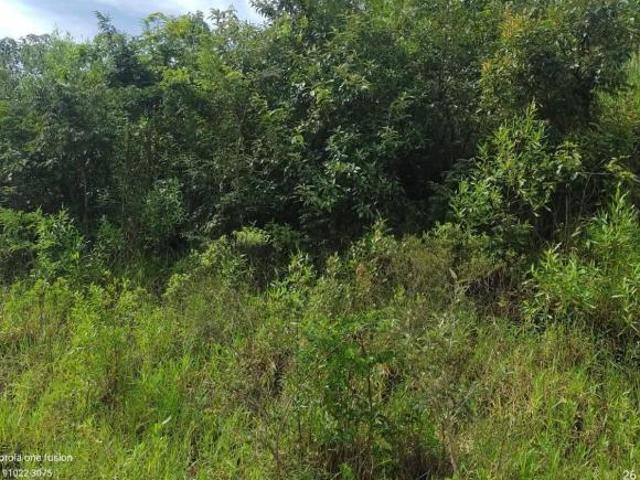 Terreno venda em Região Imediata de Jundiaí, Campo Limpo Paulista