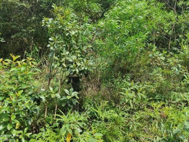 Terreno venda em Região Imediata de Jundiaí, Campo Limpo Paulista