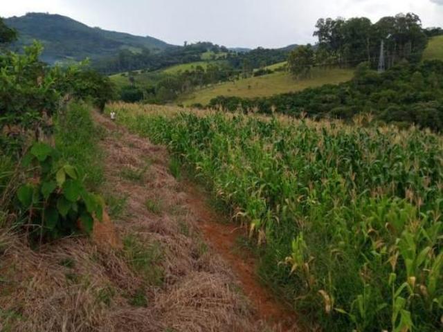 Terreno venda em Região Imediata de Bragança Paulista, Vargem