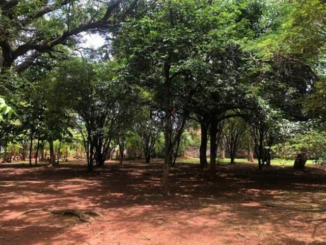 Terreno venda em Várzea, Lagoa Santa
