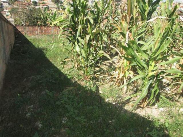 Terreno venda em Chuvinha, Santana de Pirapama